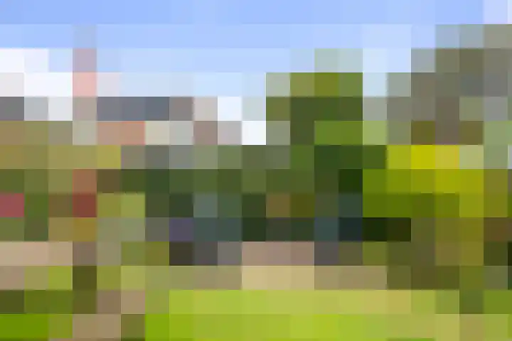 Rembrandtstraat 20 Huisduinen thumbnail 27