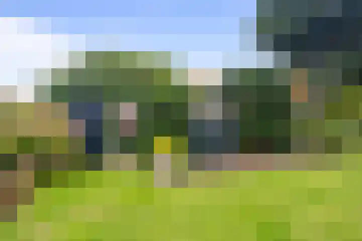Rembrandtstraat 20 Huisduinen thumbnail 30