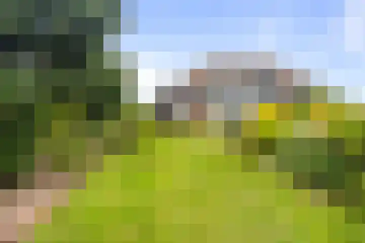 Rembrandtstraat 20 Huisduinen thumbnail 36