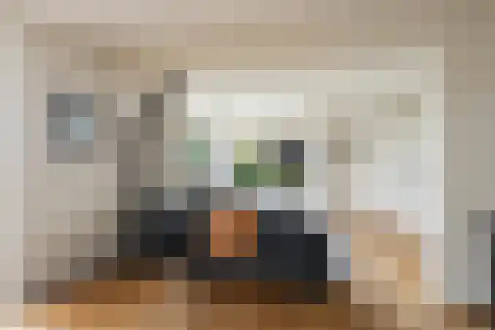 Rembrandtstraat 20 Huisduinen thumbnail 8