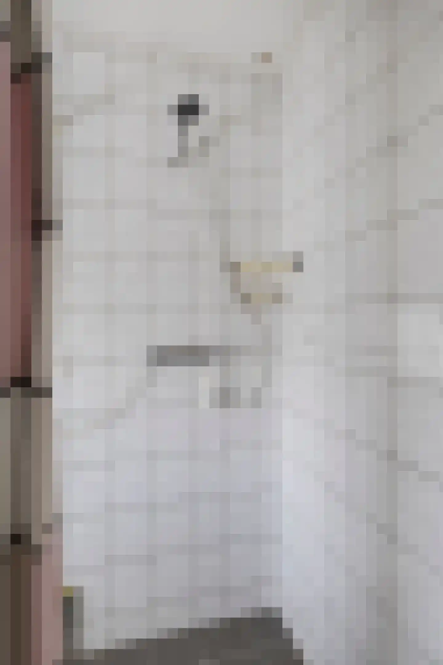 Rembrandtstraat 20 Krimpen aan de Lek thumbnail 19