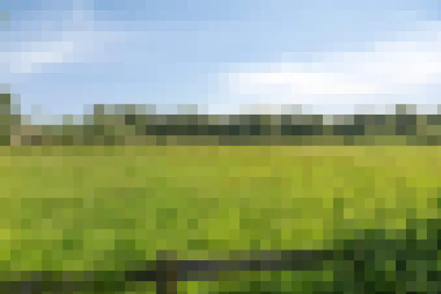 Rembrandtstraat 20 Krimpen aan de Lek thumbnail 28