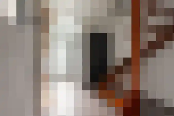 Rembrandtstraat 20 Voorthuizen thumbnail 25