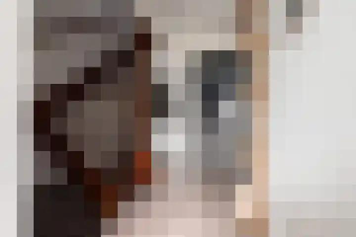 Rembrandtstraat 20 Voorthuizen thumbnail 26