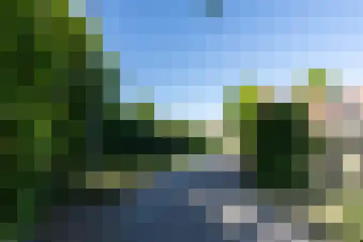 Rembrandtstraat 20 Voorthuizen thumbnail 41