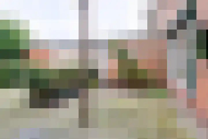 Rembrandtstraat 21 Groenlo thumbnail 27