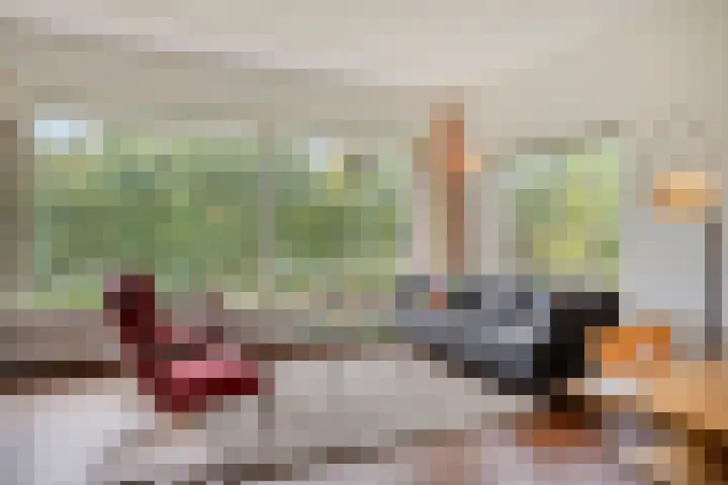 Rembrandtstraat 22 Goor thumbnail 12