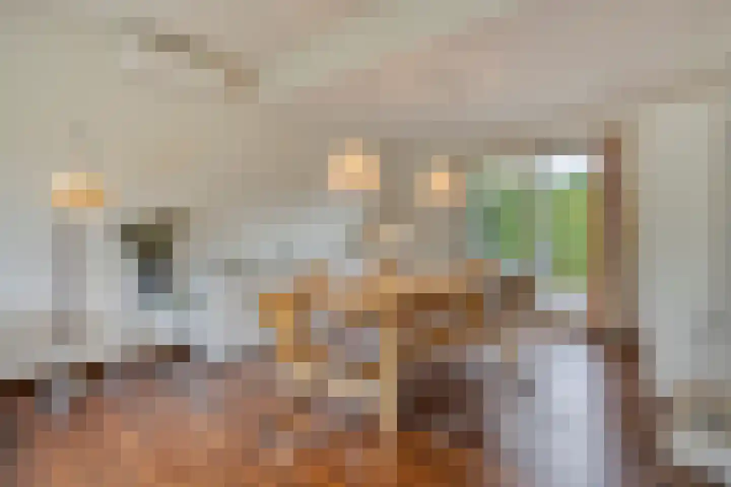 Rembrandtstraat 22 Goor thumbnail 14