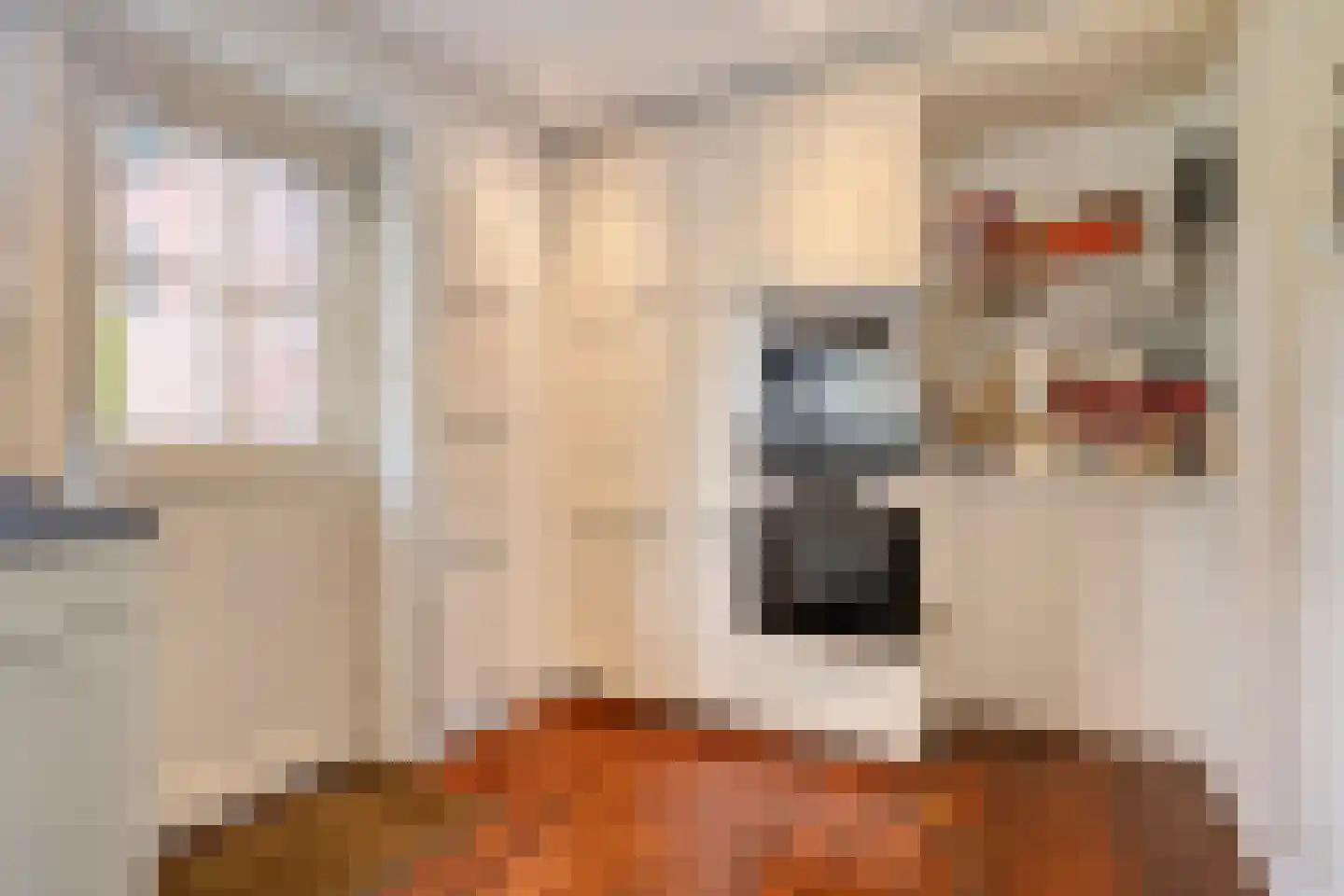 Rembrandtstraat 22 Goor thumbnail 18