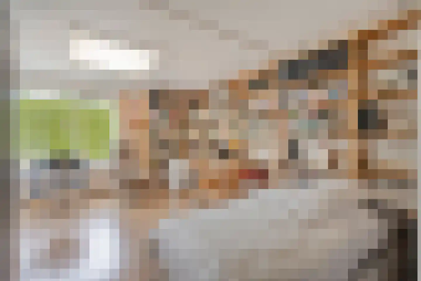 Rembrandtstraat 22 Goor thumbnail 27