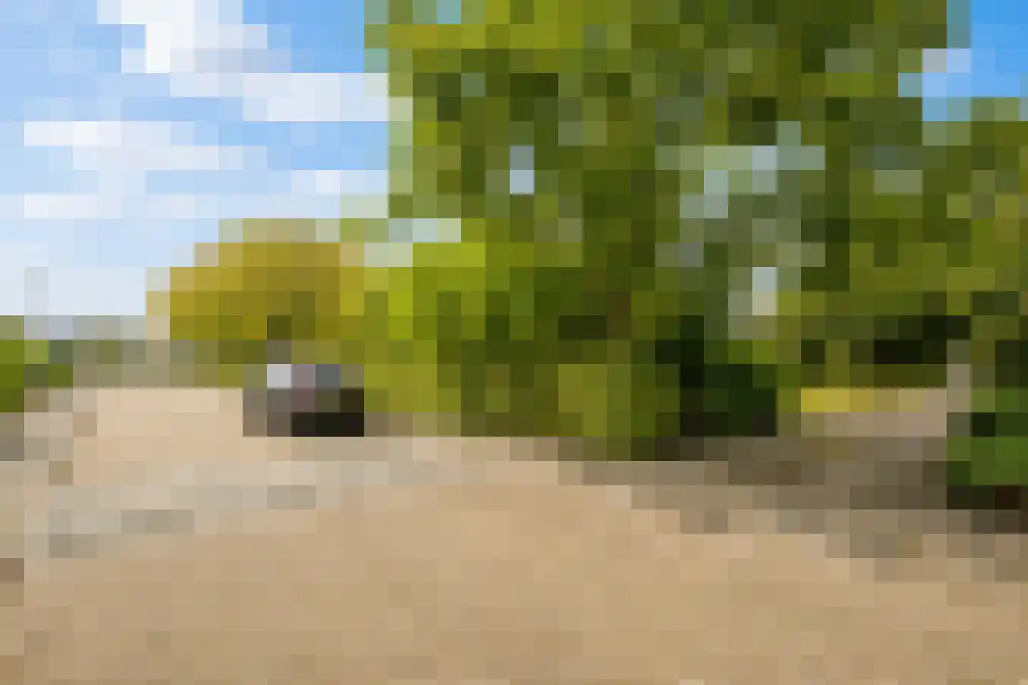 Rembrandtstraat 22 Goor thumbnail 5