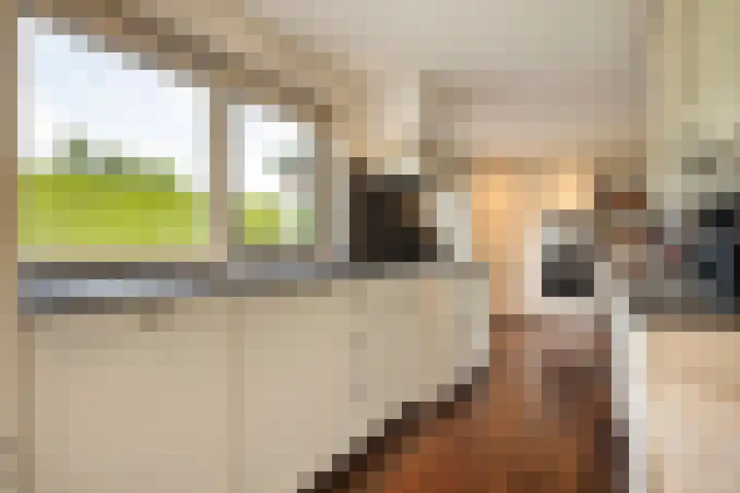 Rembrandtstraat 22 Goor thumbnail 5
