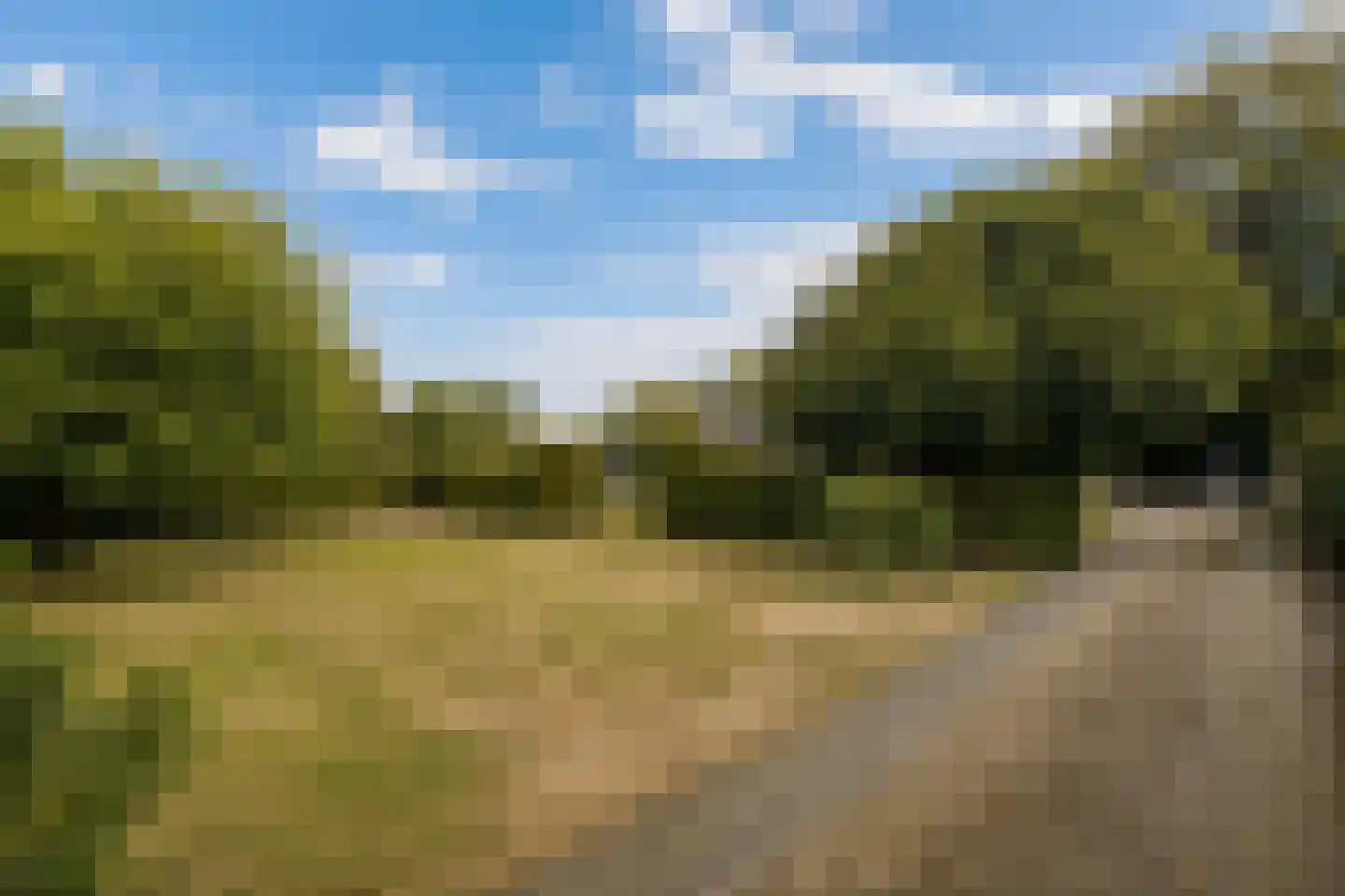 Rembrandtstraat 22 Goor thumbnail 6
