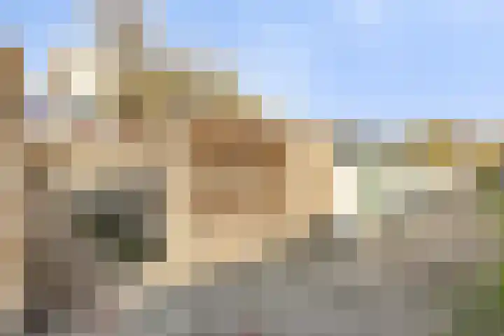 Rembrandtstraat 22 Zoetermeer thumbnail 30