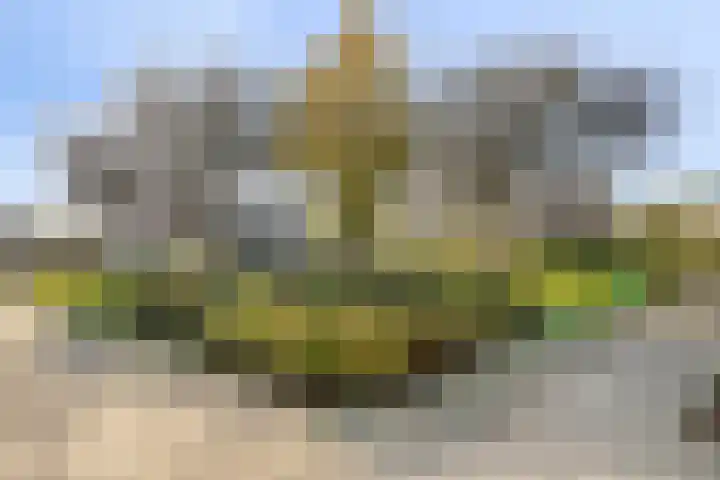 Rembrandtstraat 22 Zoetermeer thumbnail 33