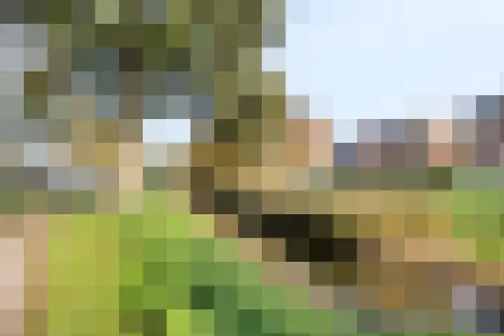 Rembrandtstraat 22 Zoetermeer thumbnail 34