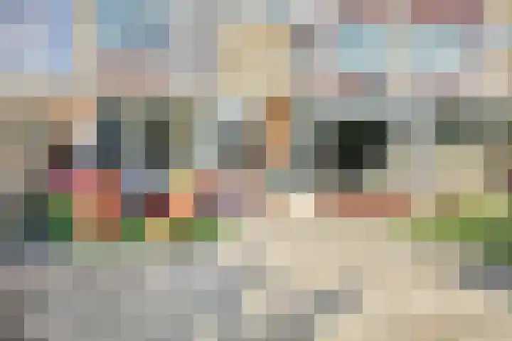 Rembrandtstraat 22 Zoetermeer thumbnail 5