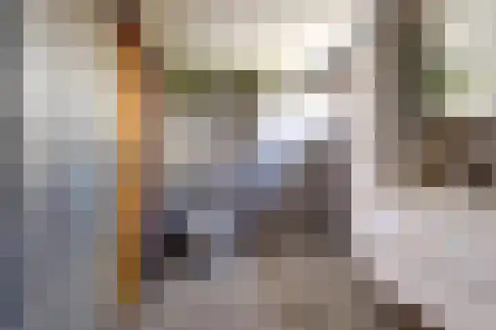 Rembrandtstraat 23 Tiel thumbnail 33