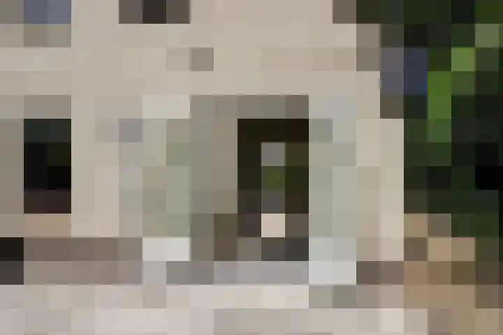 Rembrandtstraat 23 Tiel thumbnail 39