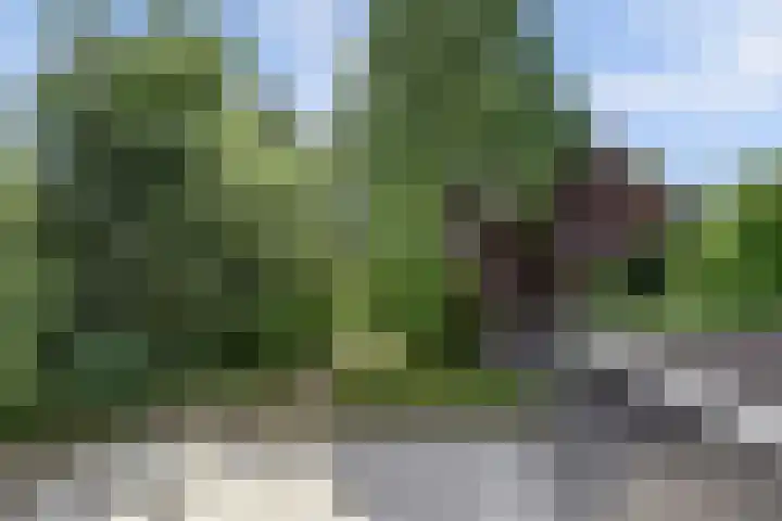Rembrandtstraat 23 Tiel thumbnail 41