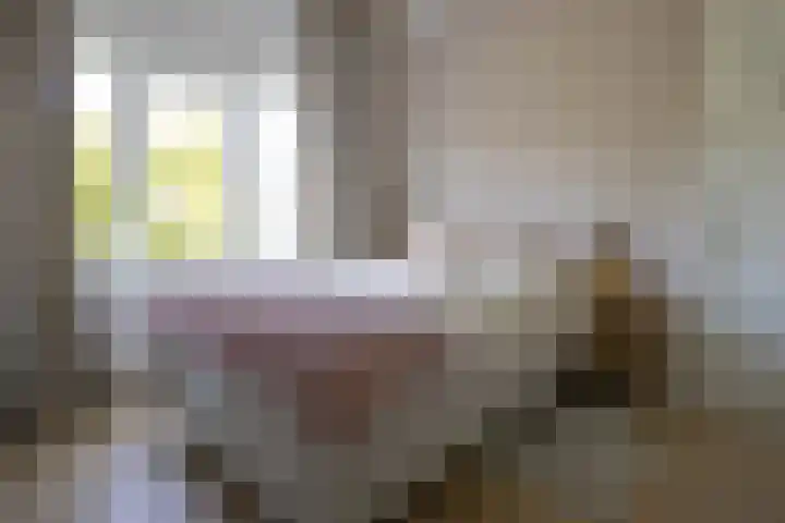 Rembrandtstraat 24 Alkmaar thumbnail 21