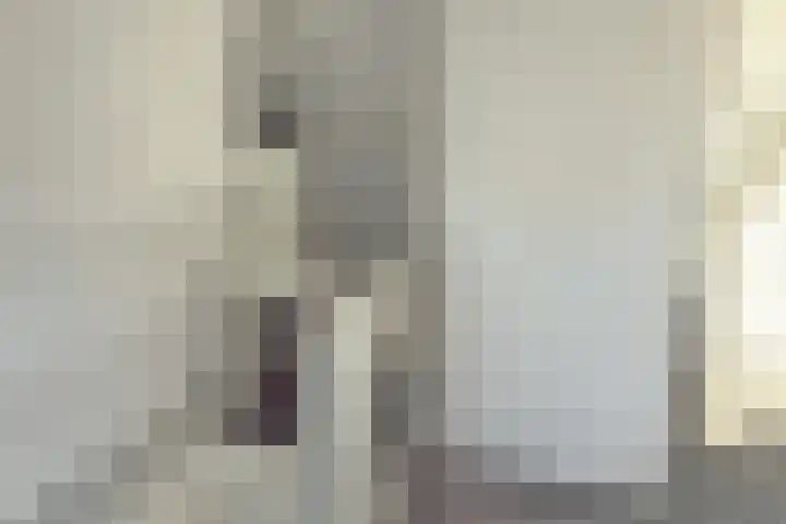 Rembrandtstraat 24 Alkmaar thumbnail 27