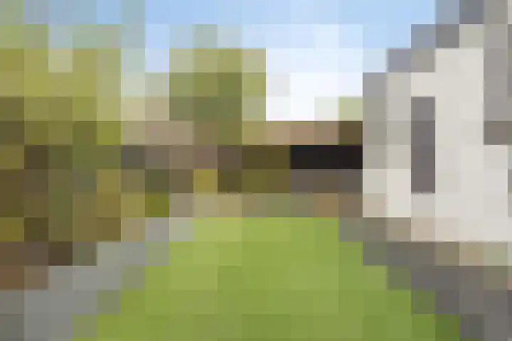 Rembrandtstraat 24 Millingen aan de Rijn thumbnail 23