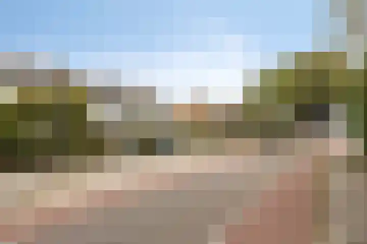 Rembrandtstraat 24 Millingen aan de Rijn thumbnail 33