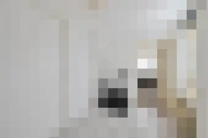 Rembrandtstraat 26 Monster thumbnail 17