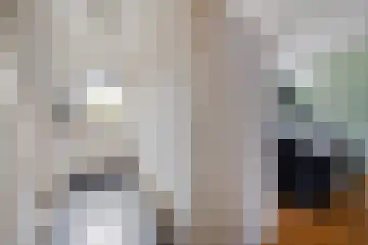 Rembrandtstraat 26 Monster thumbnail 4