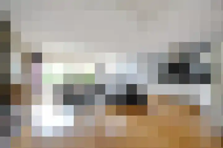 Rembrandtstraat 26 Monster thumbnail 7