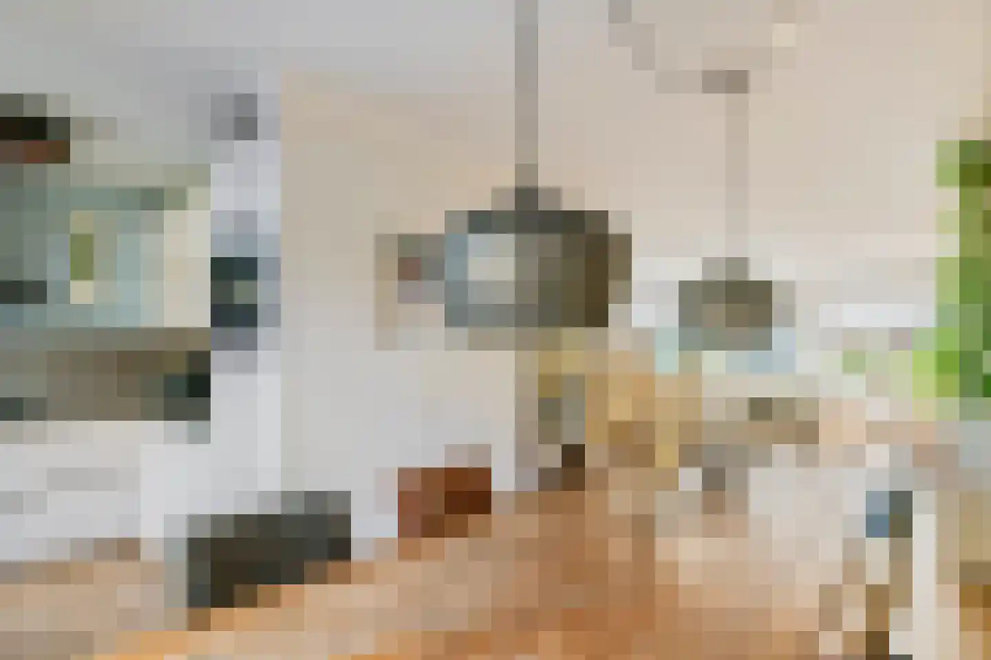 Rembrandtstraat 26 Tiel thumbnail 23