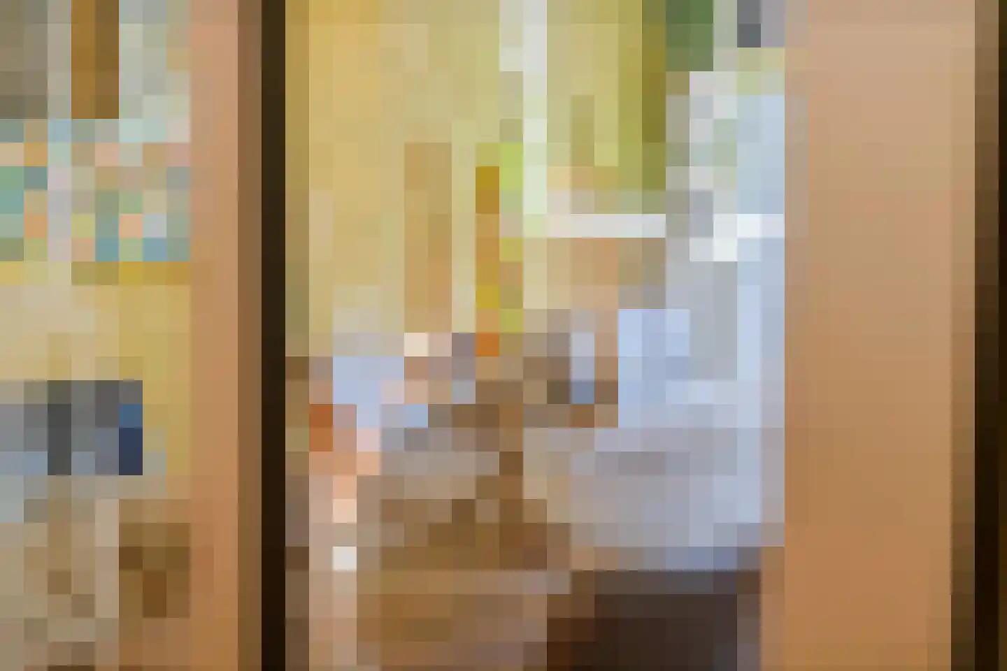 Rembrandtstraat 26 Tiel thumbnail 24