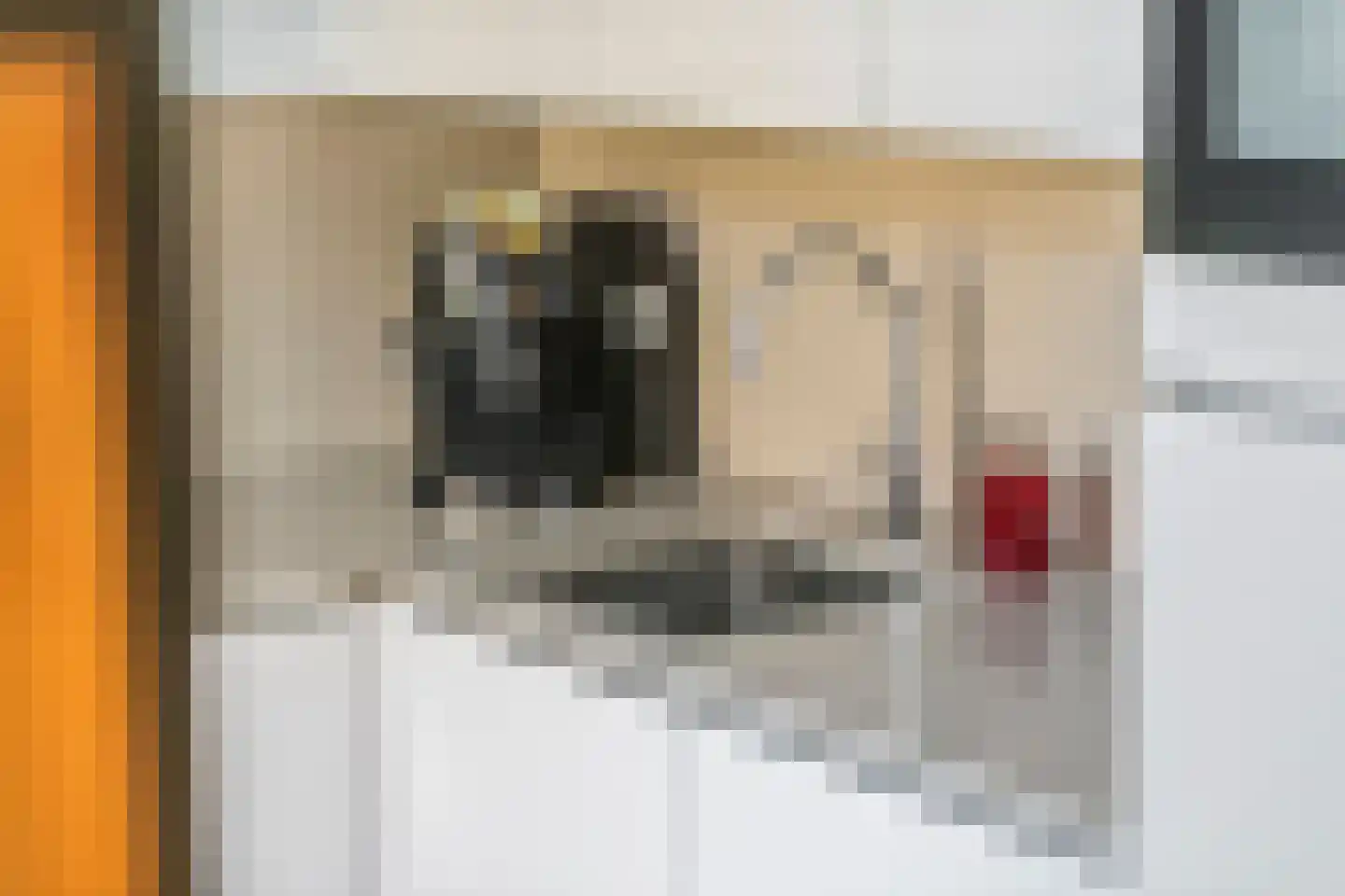 Rembrandtstraat 26 Tiel thumbnail 27