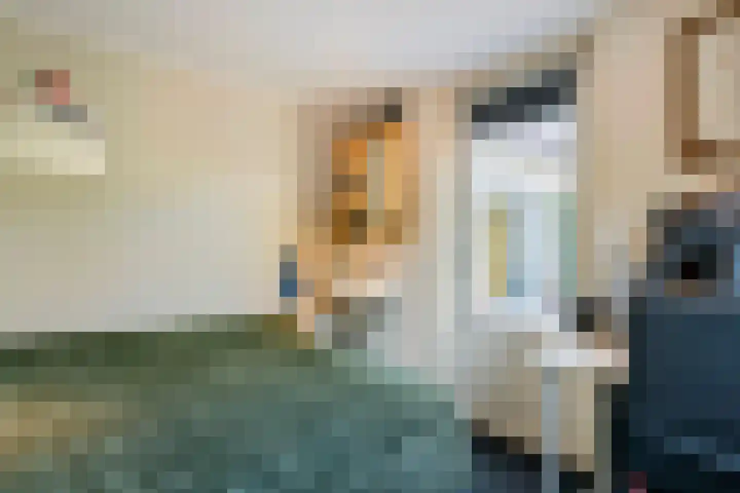 Rembrandtstraat 26 Tiel thumbnail 32