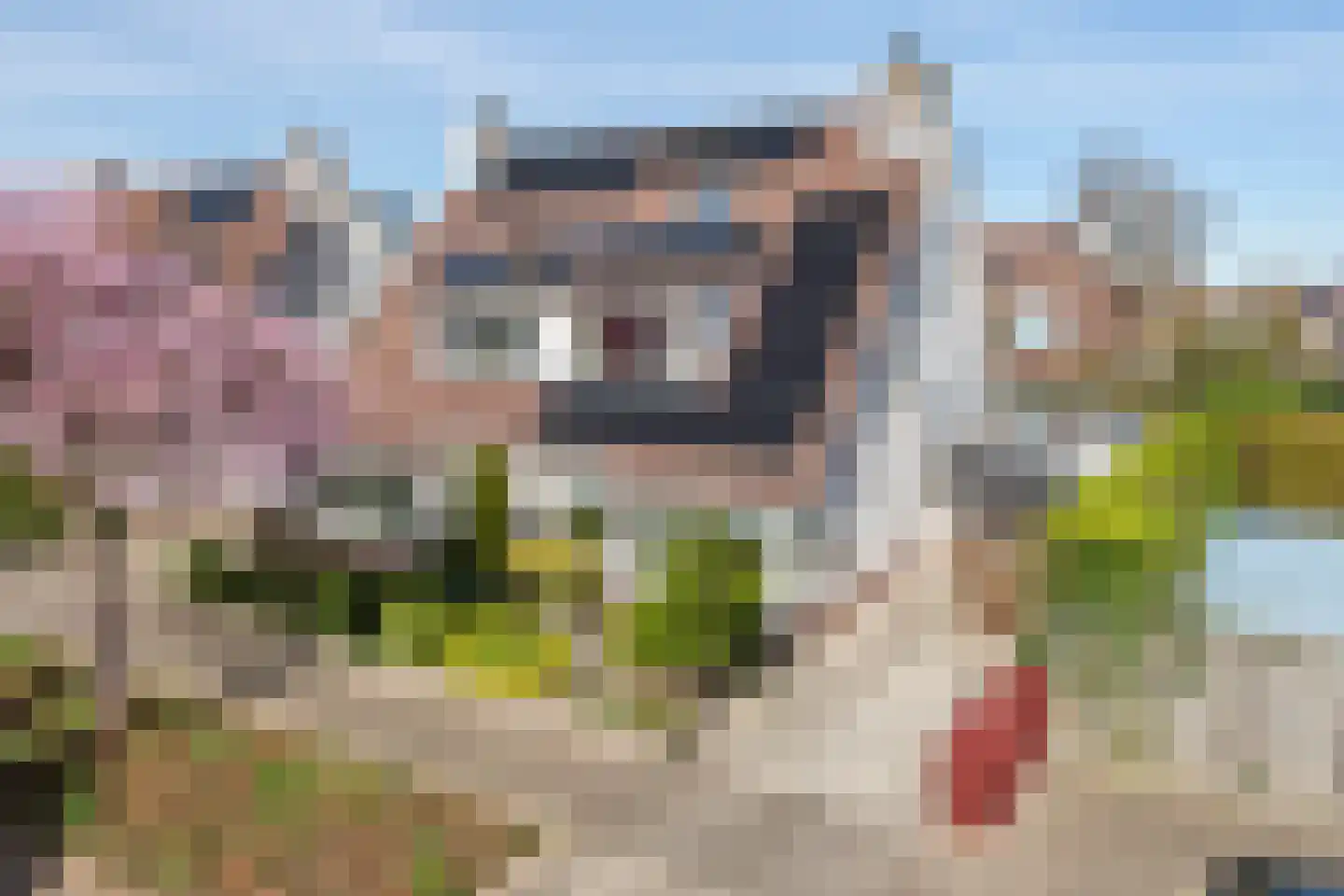 Rembrandtstraat 26 Tiel thumbnail 5