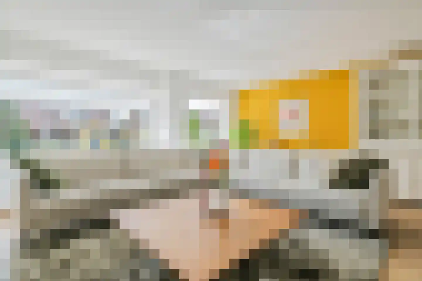 Rembrandtstraat 26 Tiel thumbnail 9