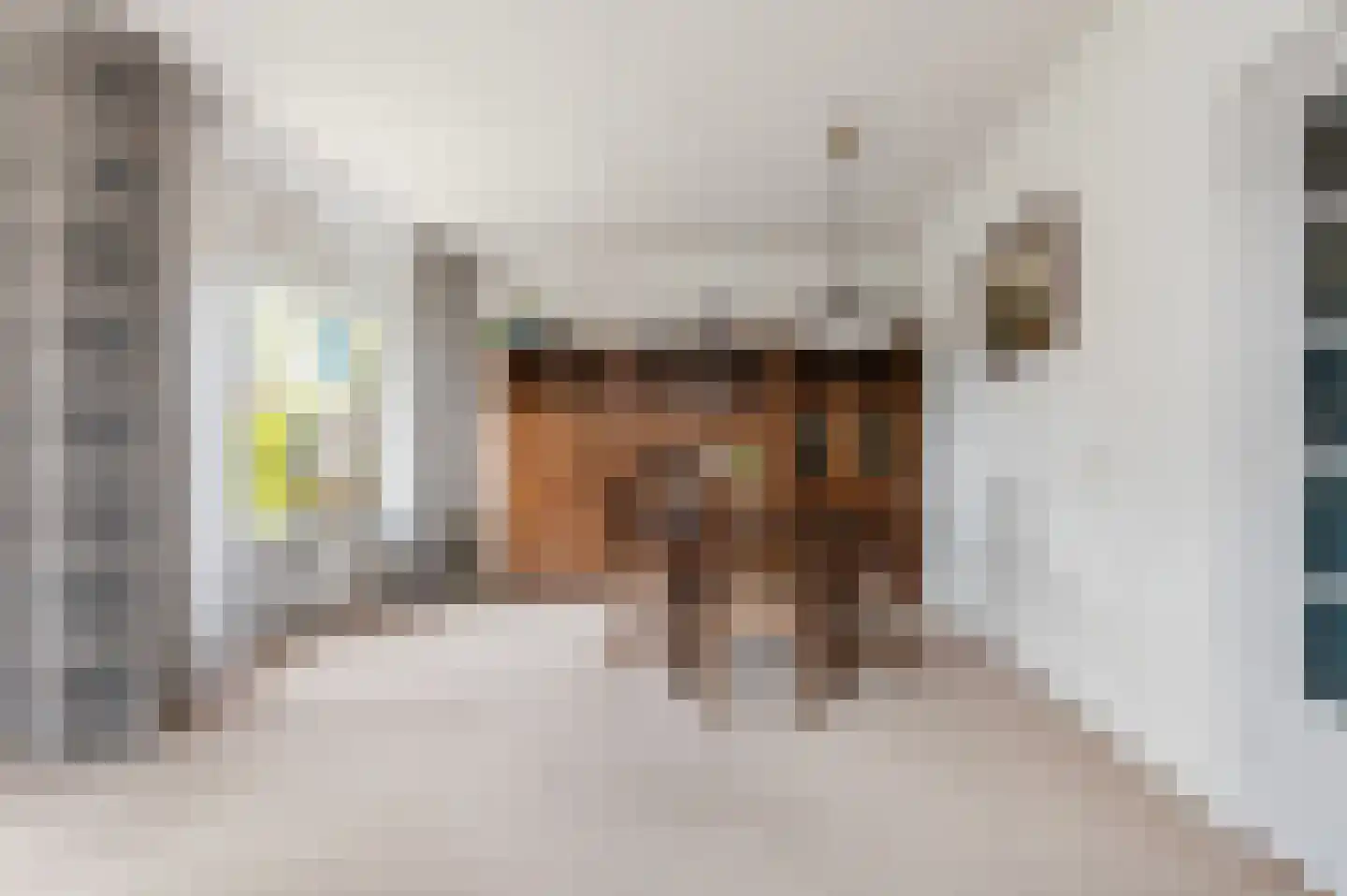 Rembrandtstraat 26 Winterswijk thumbnail 6