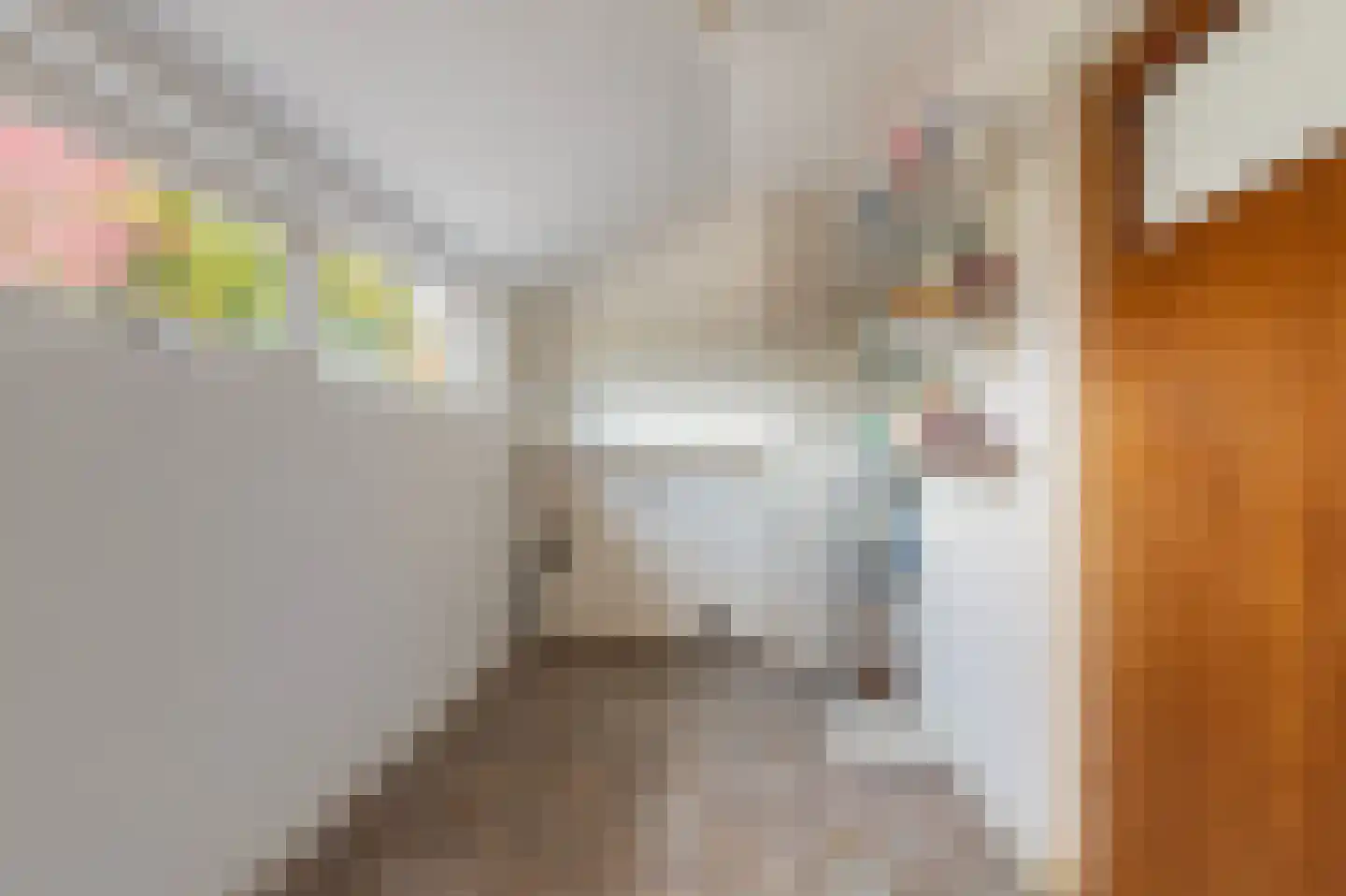 Rembrandtstraat 26 Winterswijk thumbnail 9