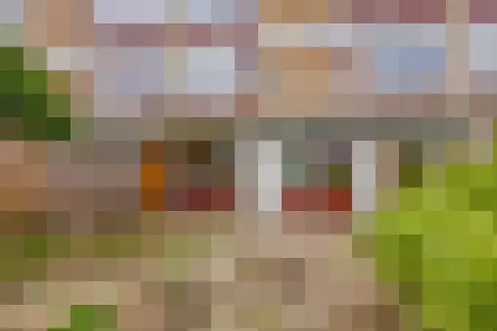 Rembrandtstraat 26 Zoetermeer thumbnail 17