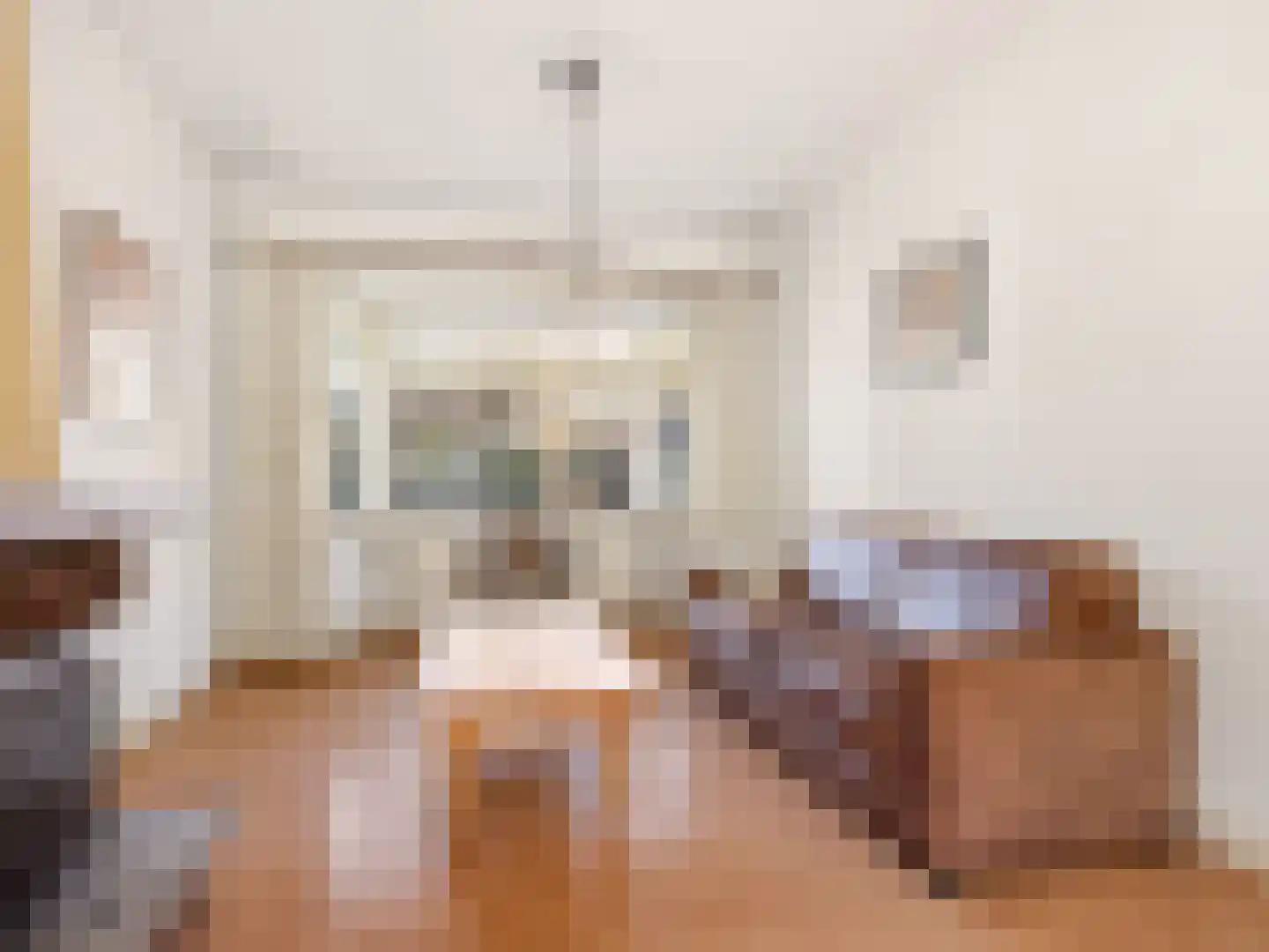 Rembrandtstraat 27 Zutphen thumbnail 7