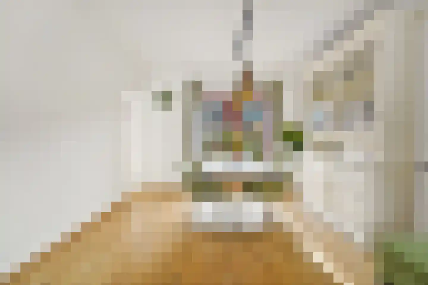Rembrandtstraat 29 Delft thumbnail 8