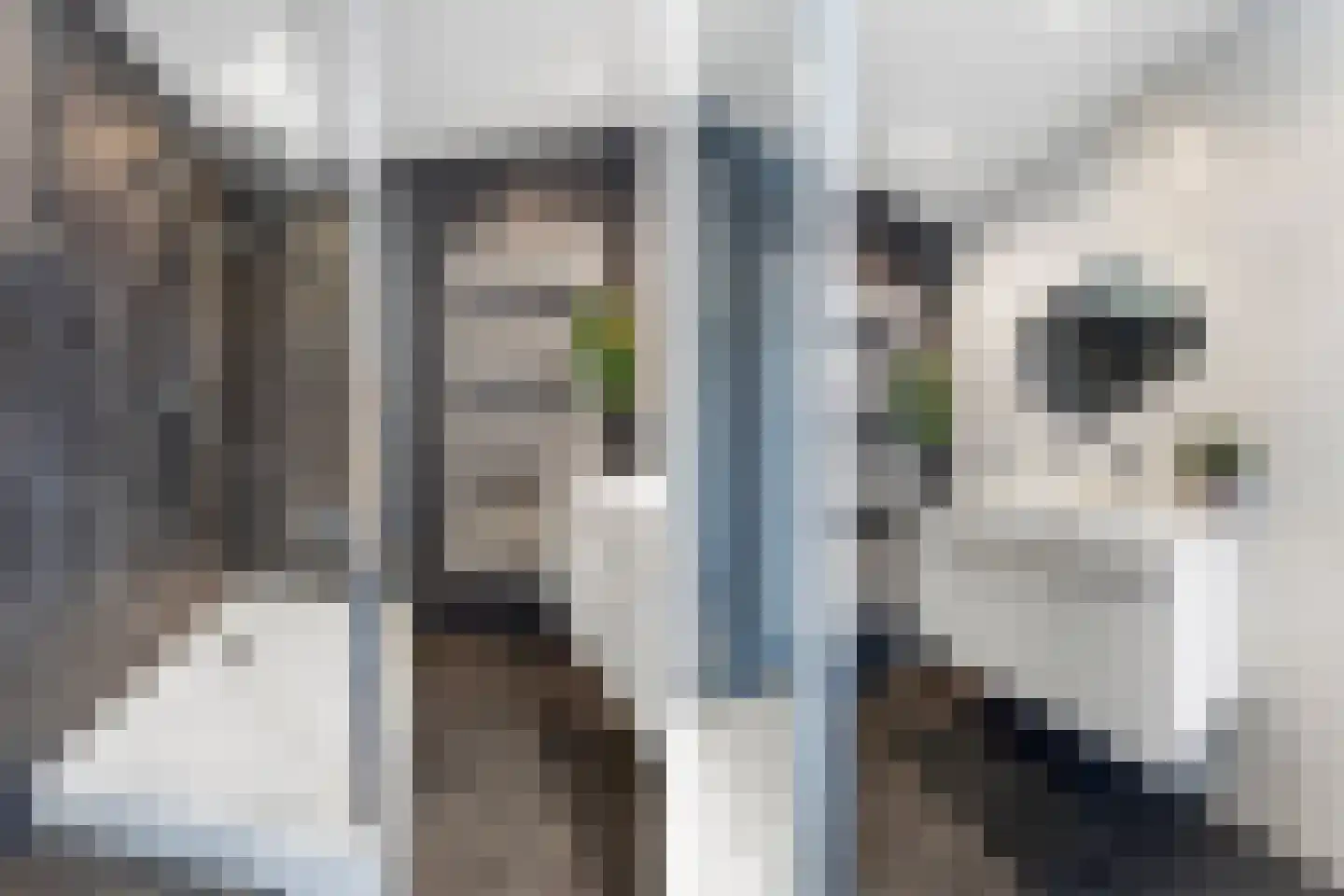 Rembrandtstraat 29 Heerlen thumbnail 12