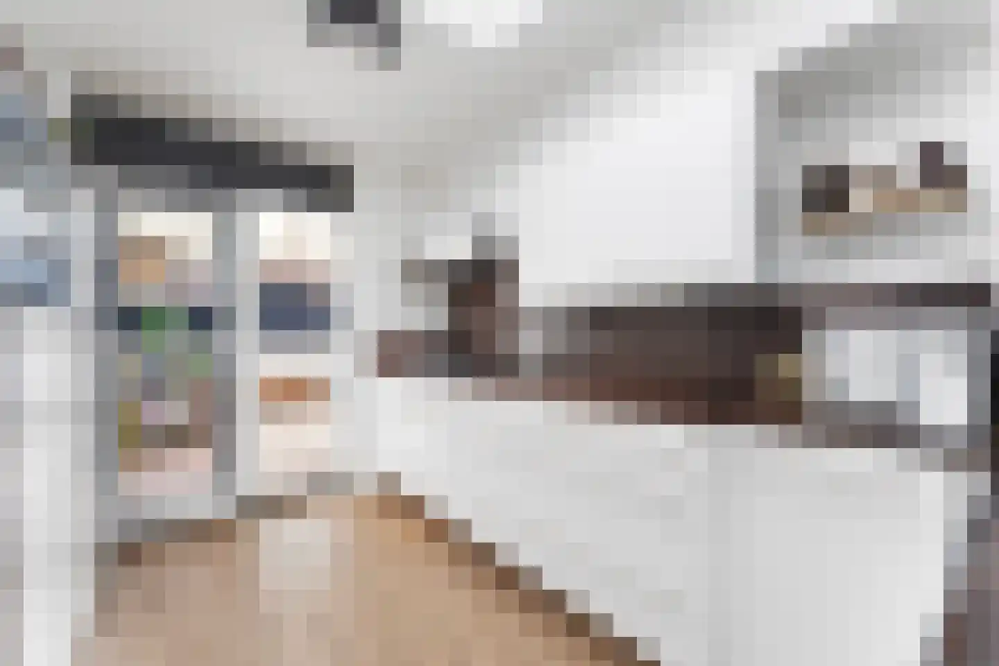 Rembrandtstraat 29 Heerlen thumbnail 7