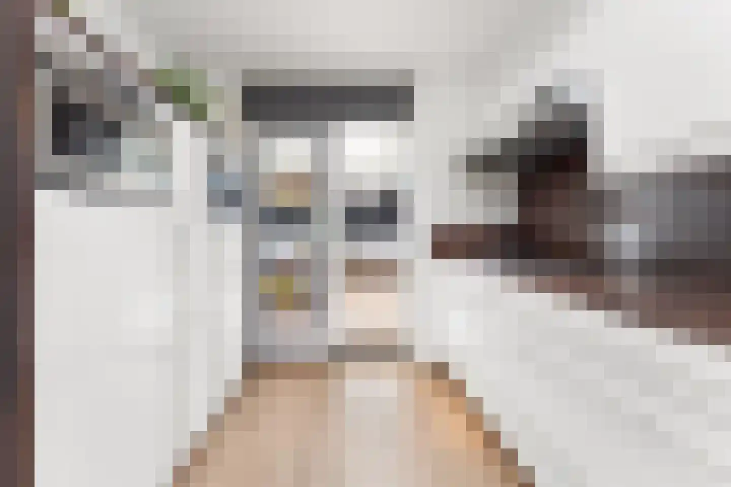 Rembrandtstraat 29 Heerlen thumbnail 9