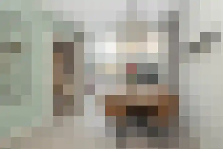 Rembrandtstraat 3 Hoogeveen thumbnail 12
