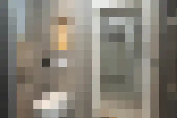Rembrandtstraat 3 Hoogeveen thumbnail 31