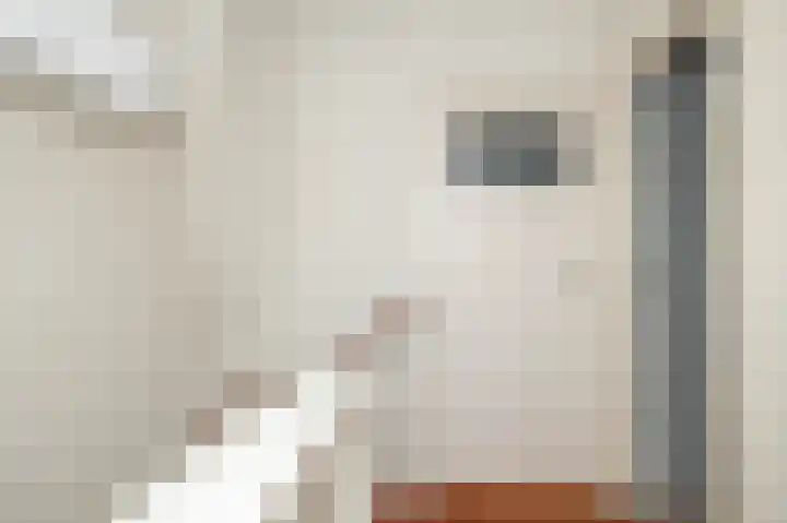 Rembrandtstraat 3 Hoogeveen thumbnail 32