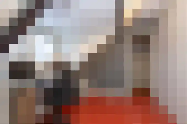 Rembrandtstraat 3 Hoogeveen thumbnail 38