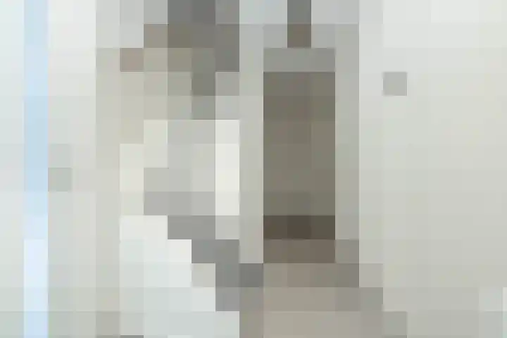 Rembrandtstraat 3 Hoogeveen thumbnail 6